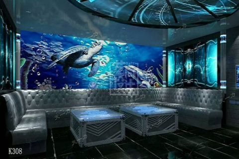 金华小时场ktv独特玩法推荐-东阳市ktv预定